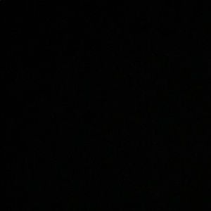 Meet your Posher, Tyson